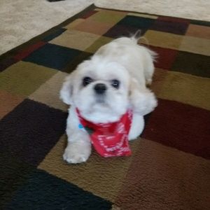 Meet your Posher, Mark